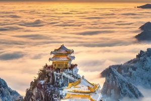 都市网