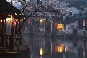 都市网