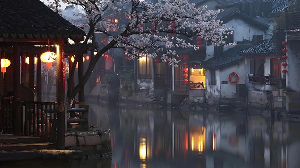都市网