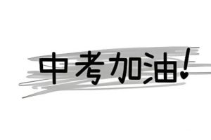 都市网