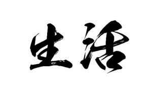 都市网