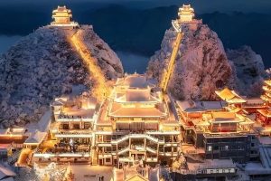 都市网