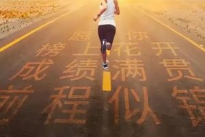 都市网