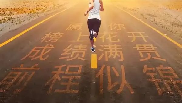 都市网