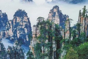 都市网