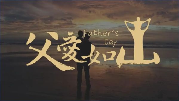 都市网