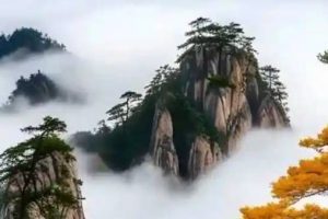都市网