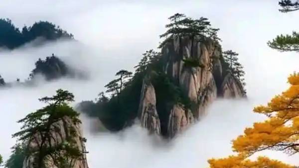 都市网