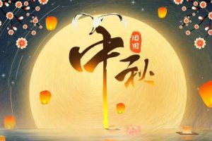 都市网