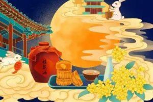 都市网