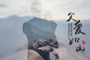 都市网
